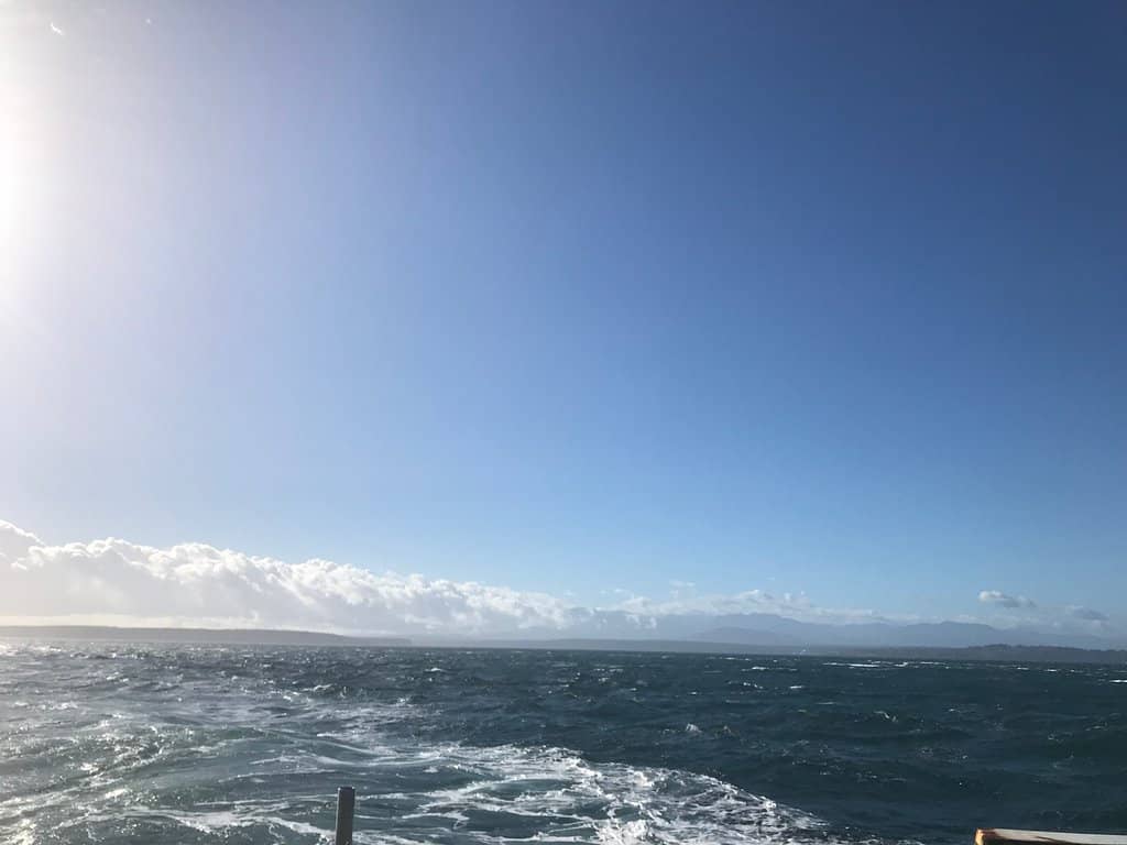 Vertical photo