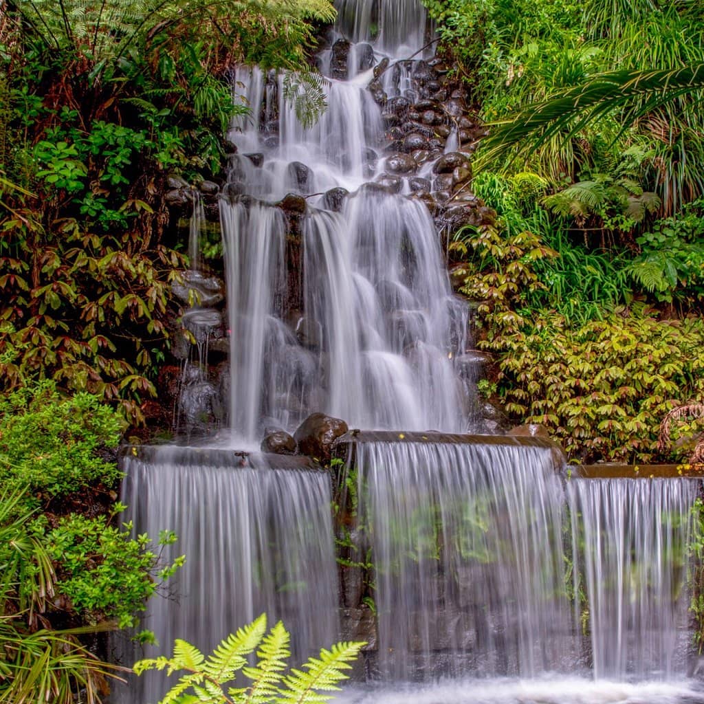 The Fernery & Display Houses