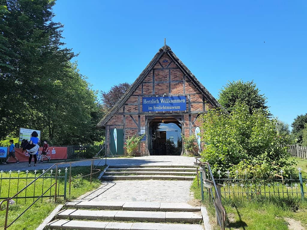 Cute Piglets & Gardens