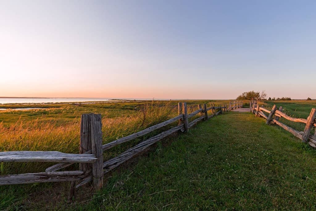 Birdwatching Paradise