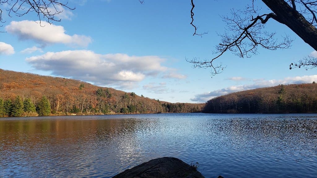 Beartown State Forest Massachusetts