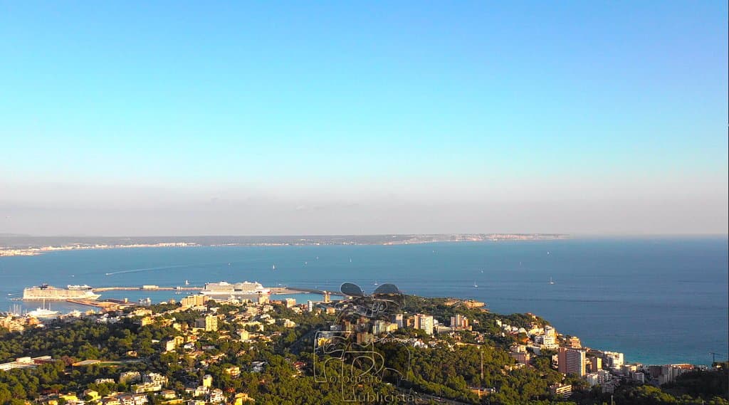 El de Palma de Mallorca