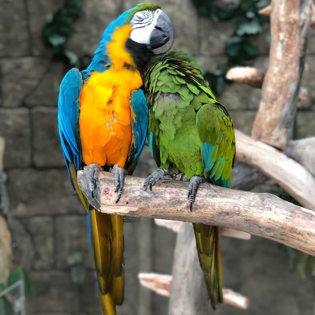 Minsk Zoo