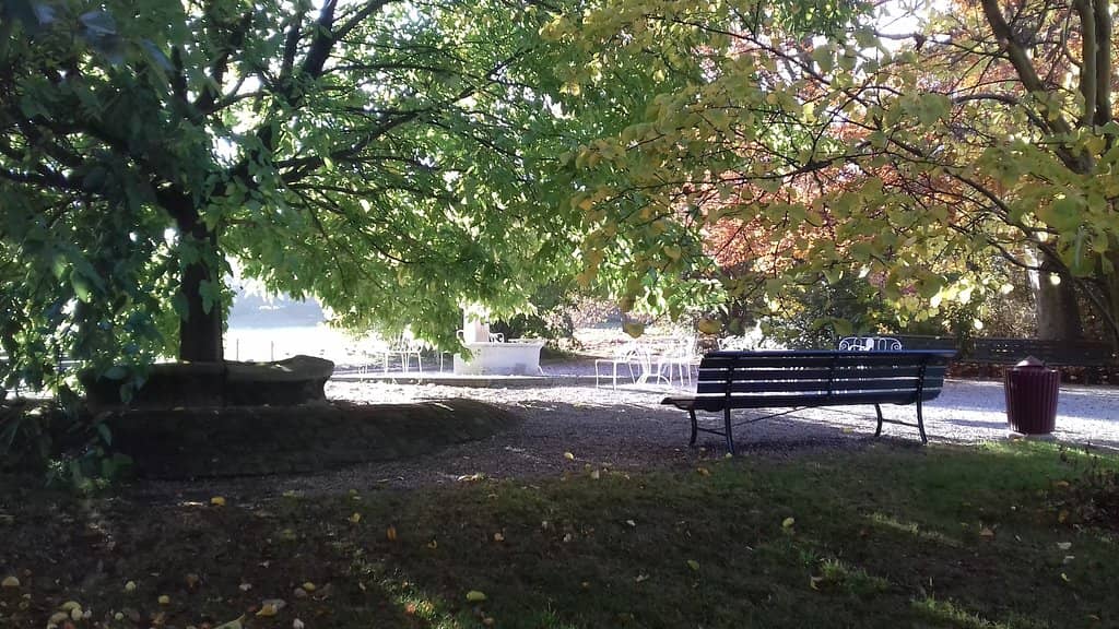 Themed Garden Displays