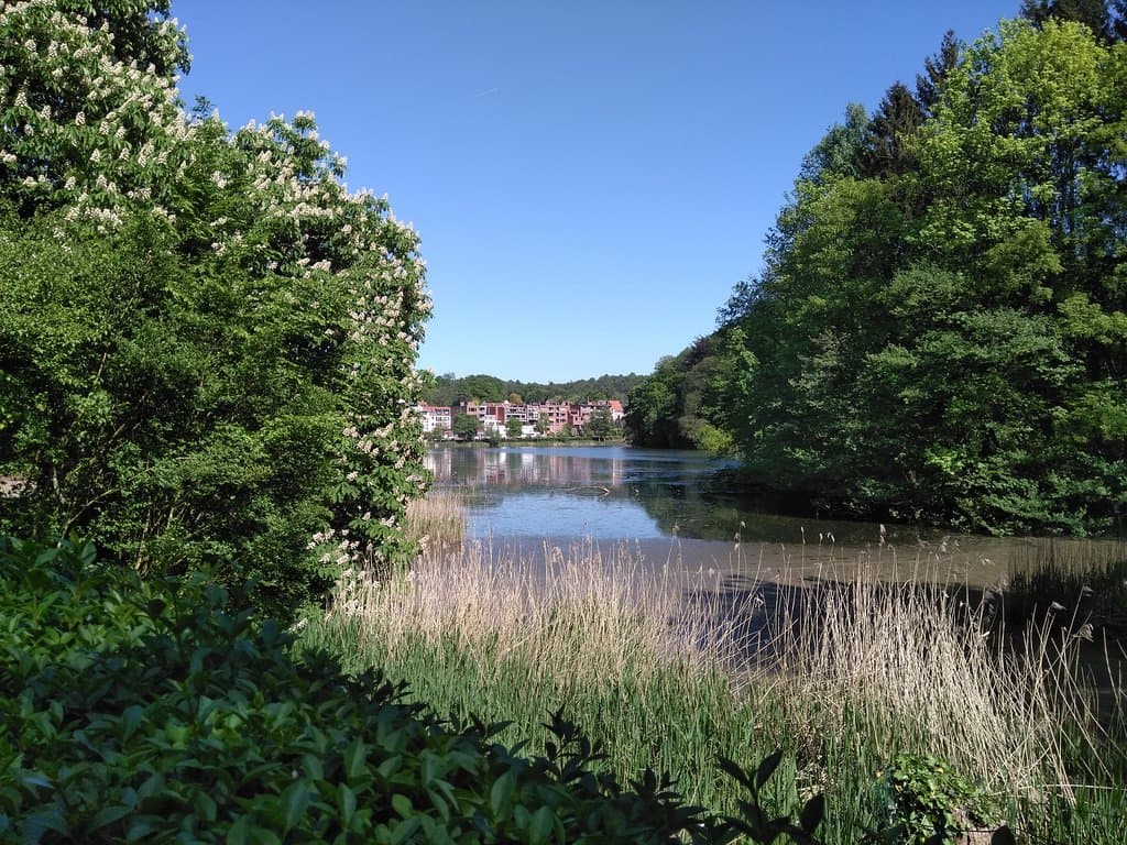 vue du parc vers le coin du balai au dessus du lac