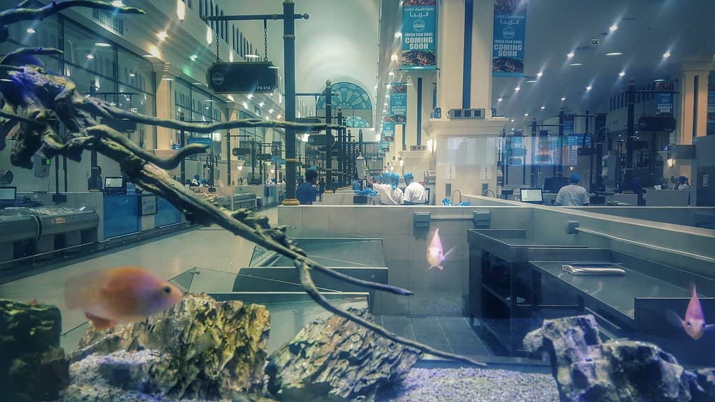 The Fish Market