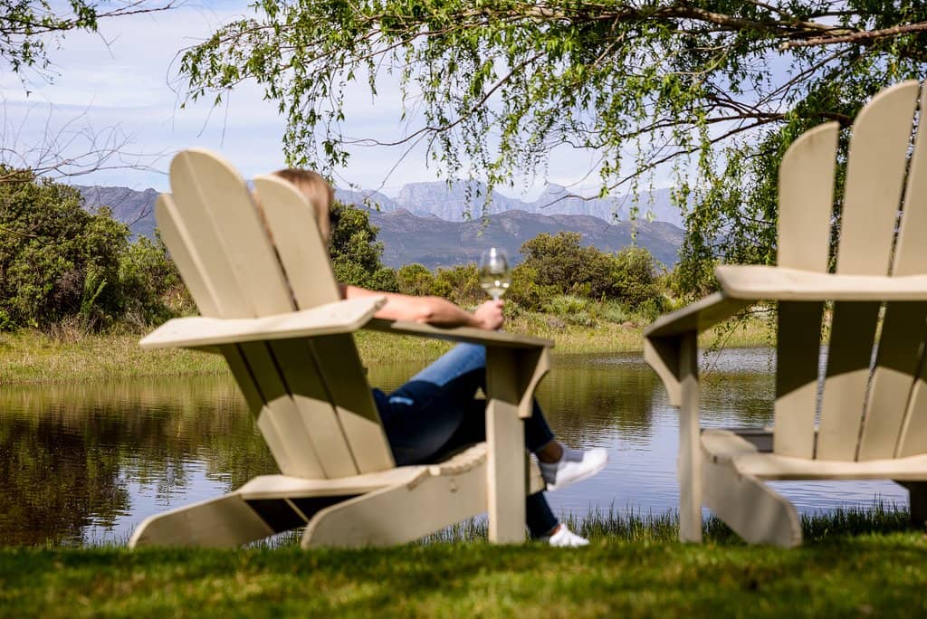 Freshly Made Guacamole