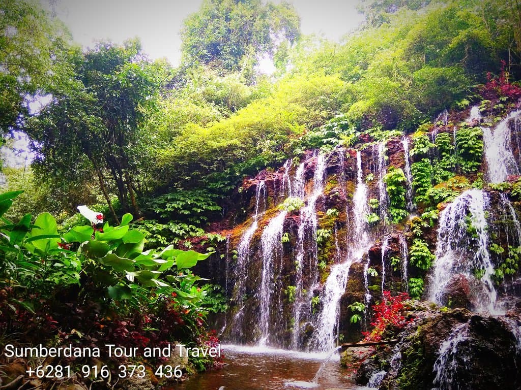 Air Terjun Banyu Wana Amertha