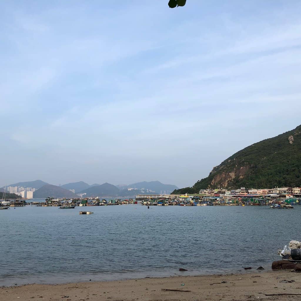 Seafood Feasts by the Sea