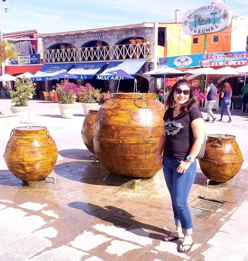 Lake Chapala Views
