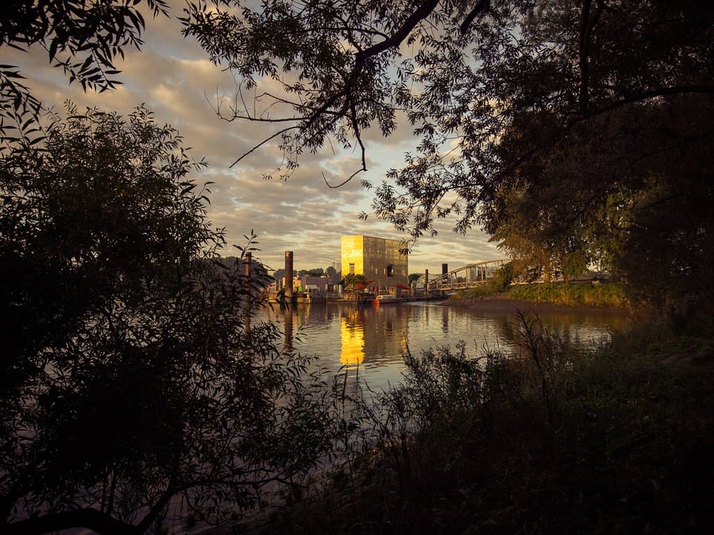 Verwunschen taucht am Elbufer vor dem Entenwerder Elbpark eine Goldene begehbare Skuptur auf.
