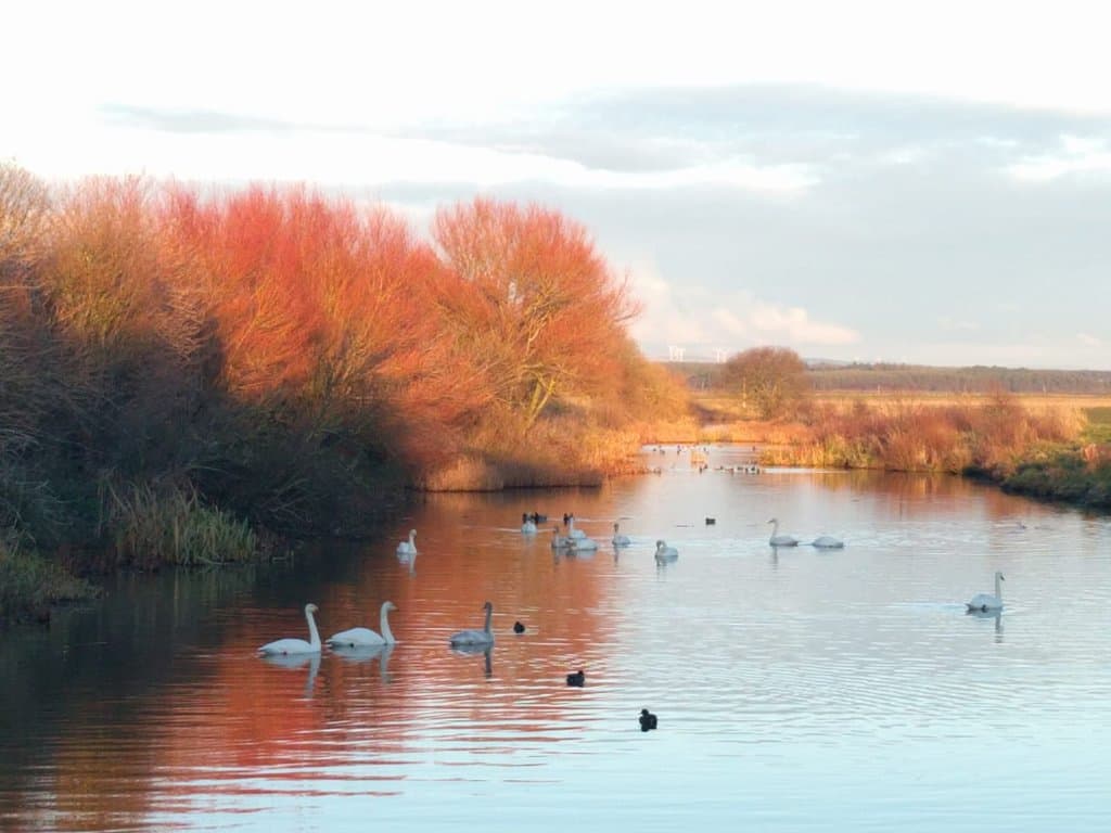Caerlaverock National Nature Reserve