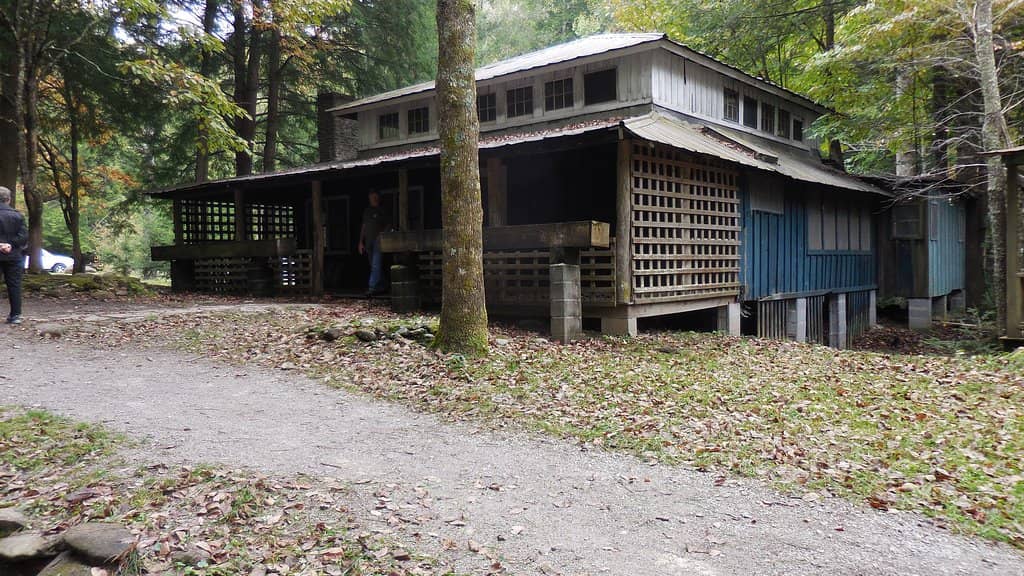 Synchronous Fireflies