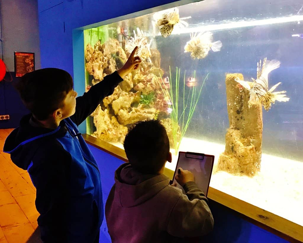 The Underwater Tunnel