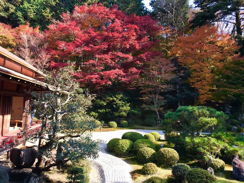 本堂から見た庭