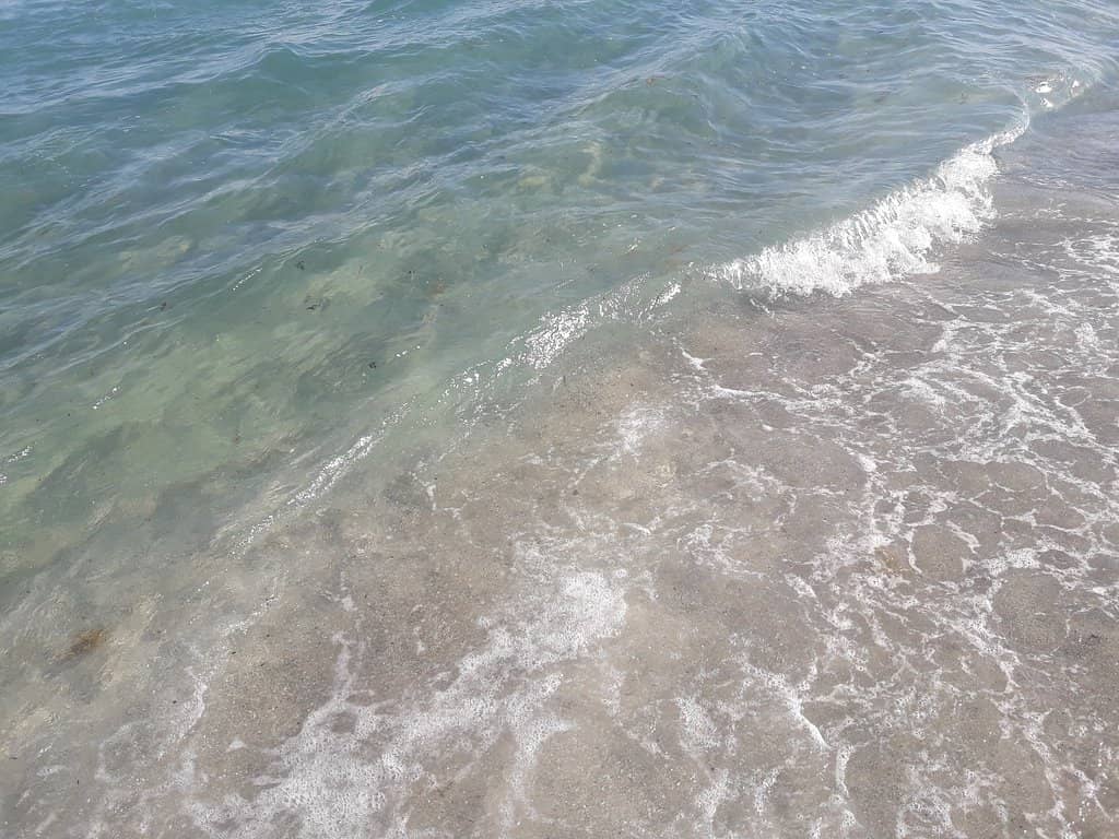 Beachfront Relaxation