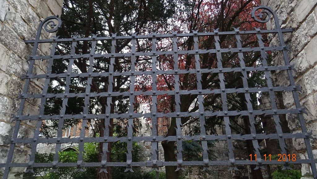 Vertical photo