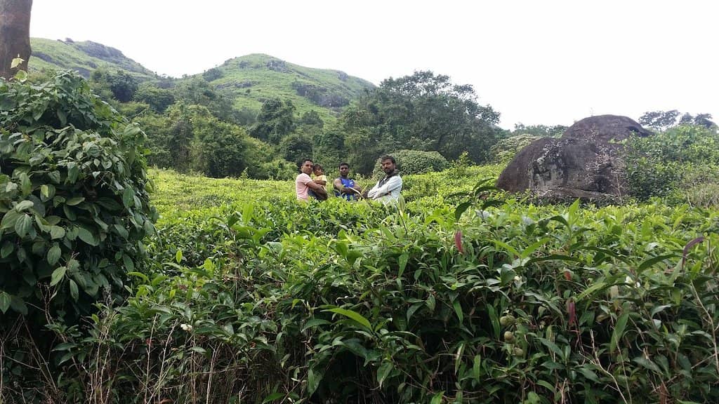 Panoramic Viewpoints