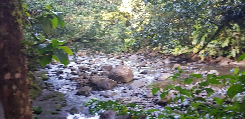 Hidden Paradise