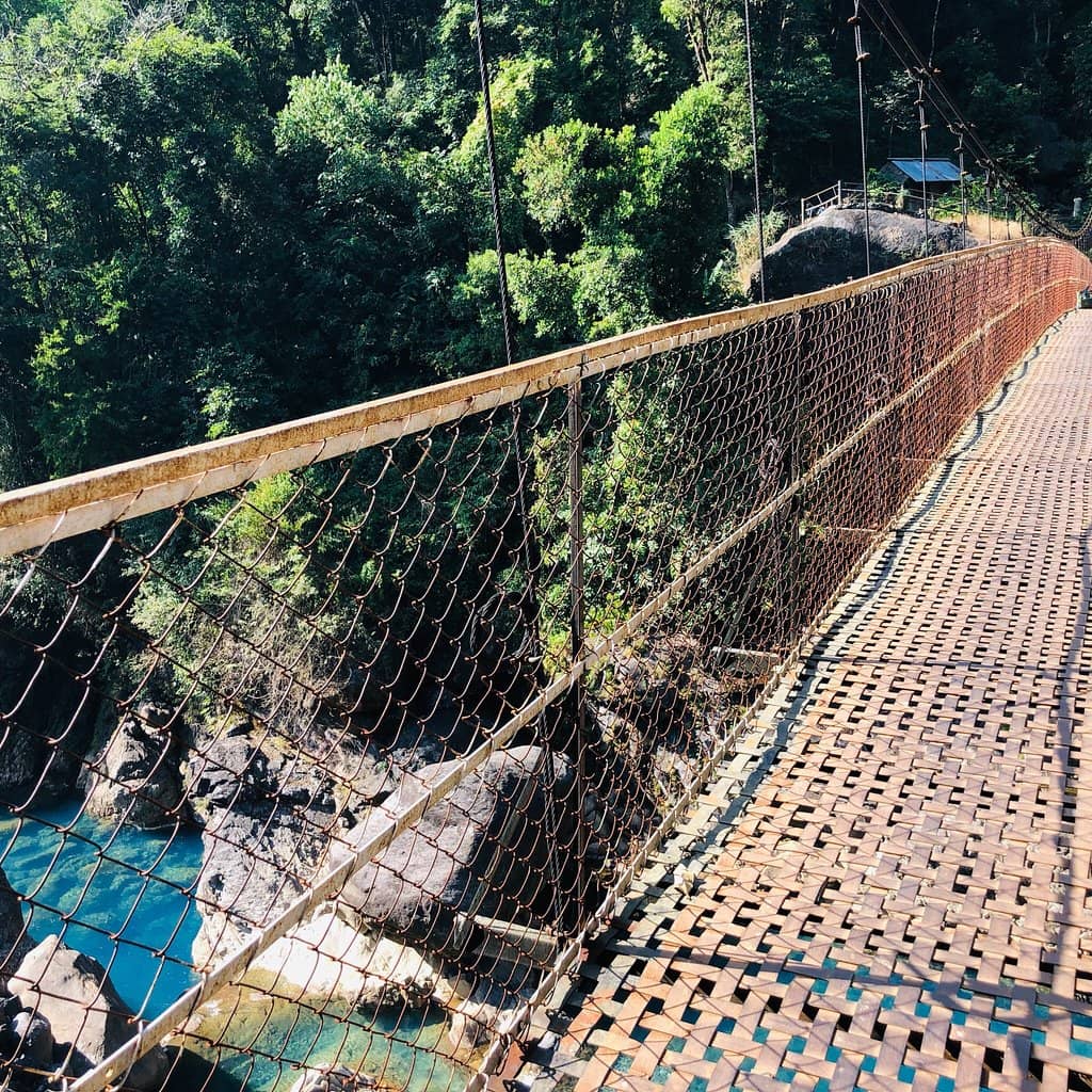 Single Root Bridge