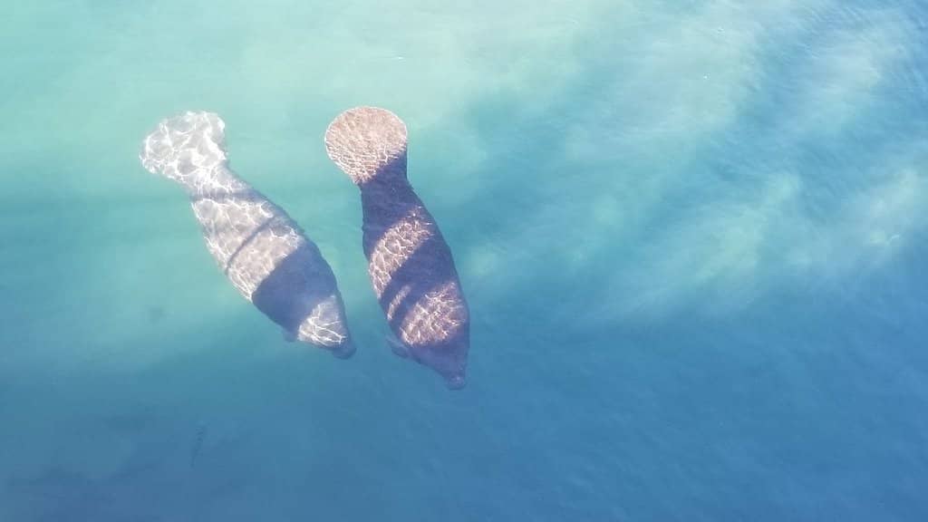 Interactive Eco-Discovery Exhibits