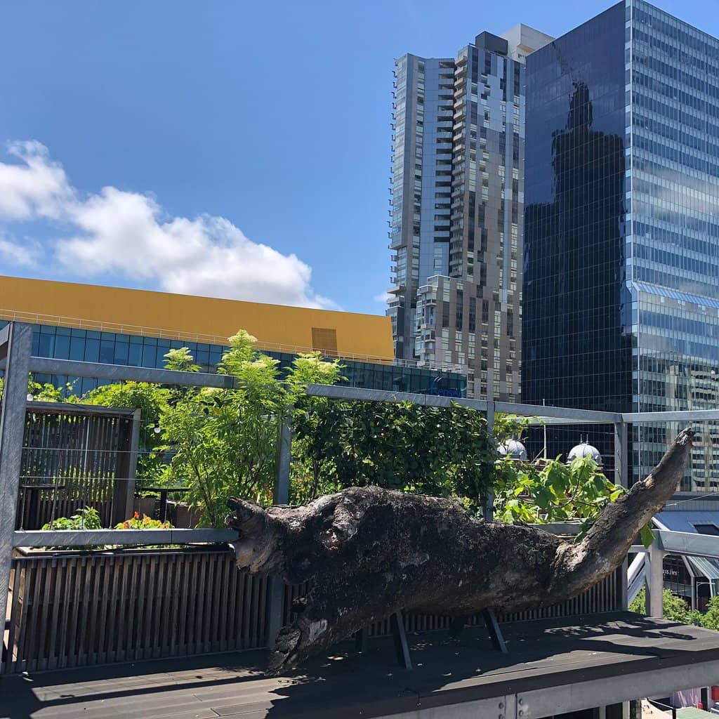 Gourmet Food & Cocktails