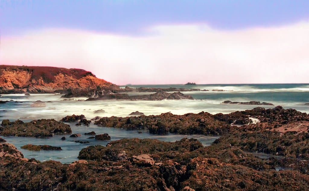 Late afternoon, Lampton Cove
