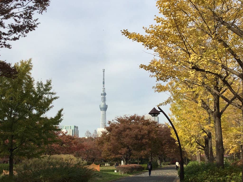 Vertical photo