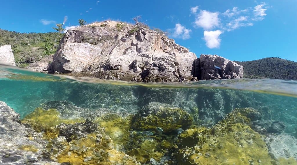 Hansen bay is a great spot to see fish, sea turtles and more.