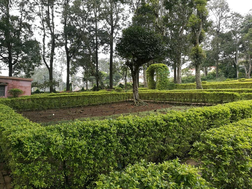 Family Picnic Spots