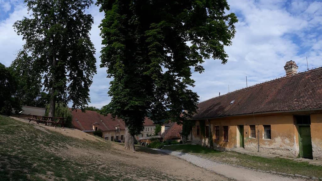Brno Reservoir Boat Trip