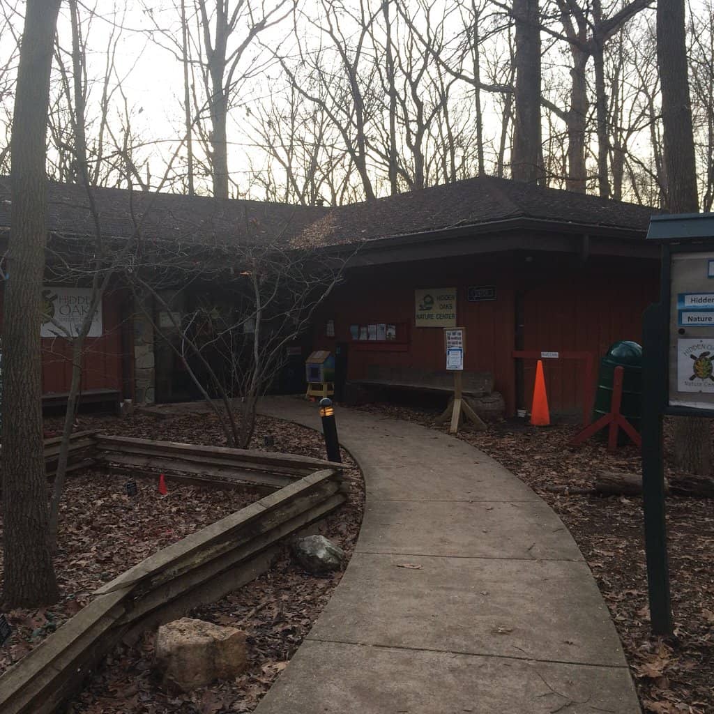 Wooded Nature Trails