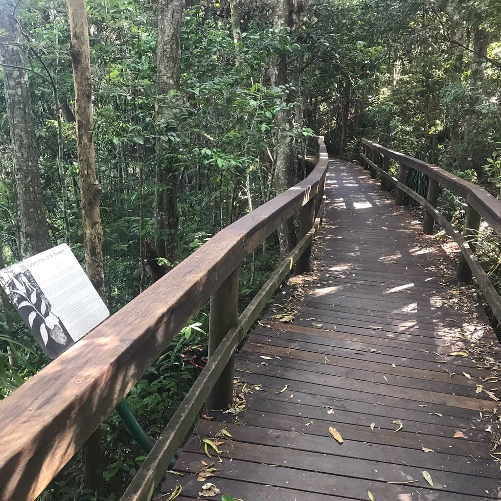 Maleny Trail and Obi Obi Boardwalk