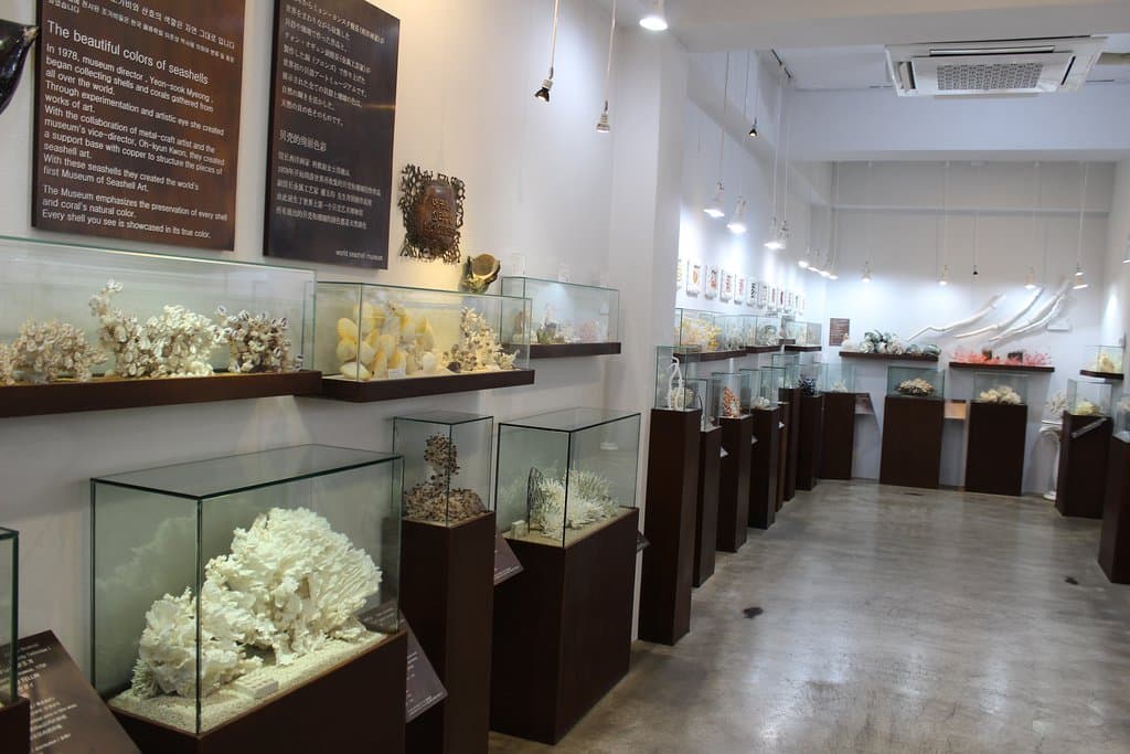 Display