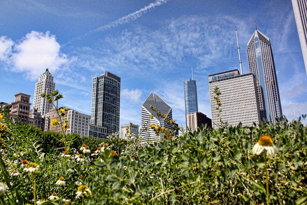 Summertime Chi