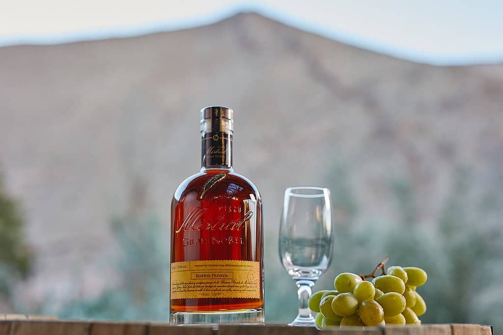 Pisco Distillation Tour