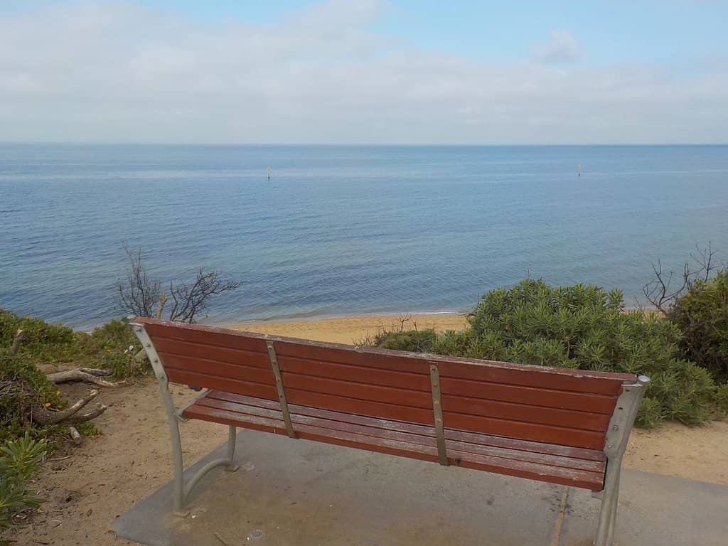 Vertical photo