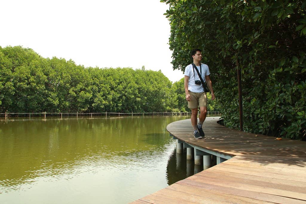 Traditional Javanese Houses