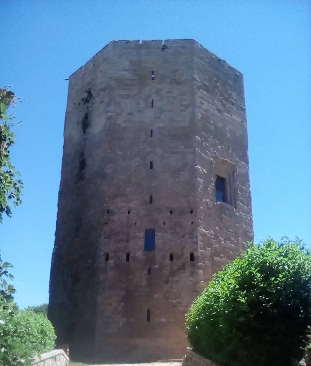 Vertical photo