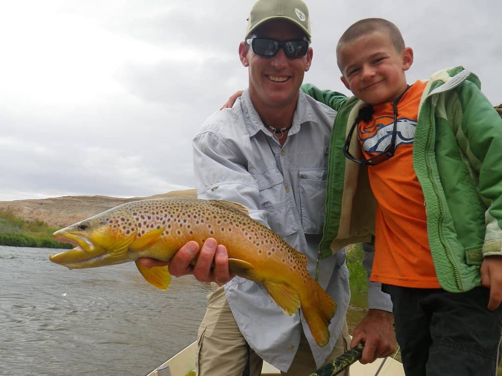 Wildlife and Nature Photography