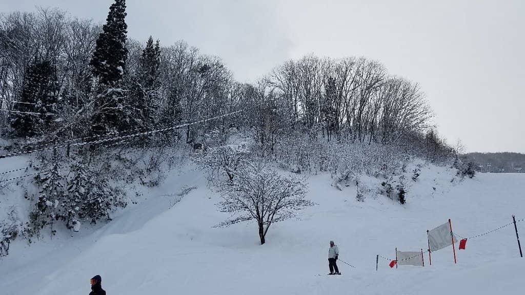 1998 Winter Olympics Slopes