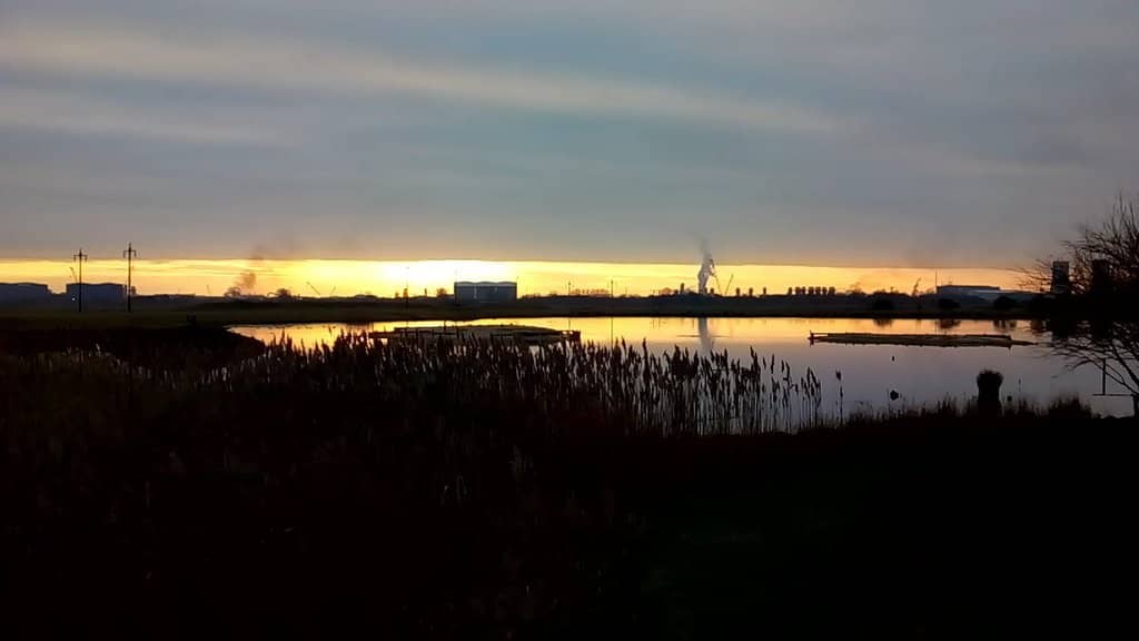 Wetland Landscapes