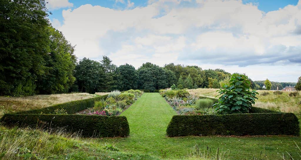 The Extensive Gardens