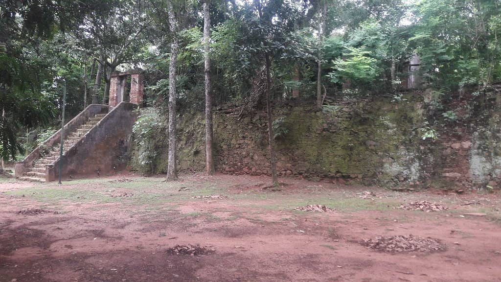 The Historic Manor House