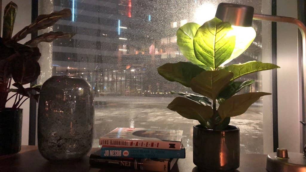 Cozy Atmosphere