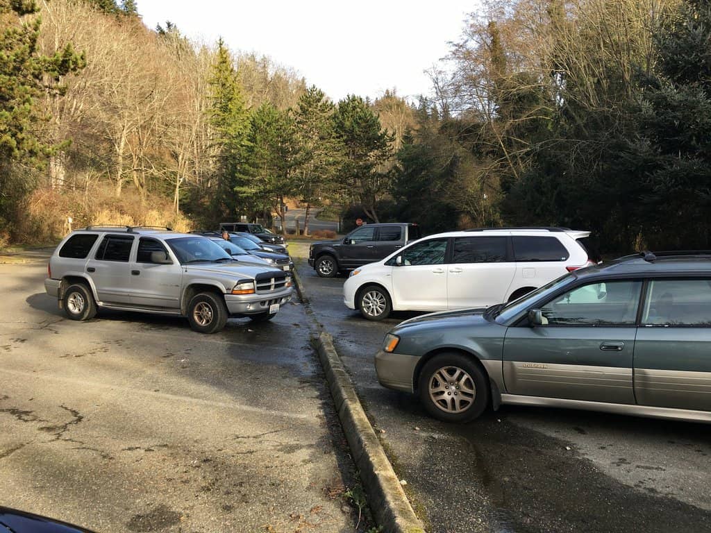 Beachcombing Adventures