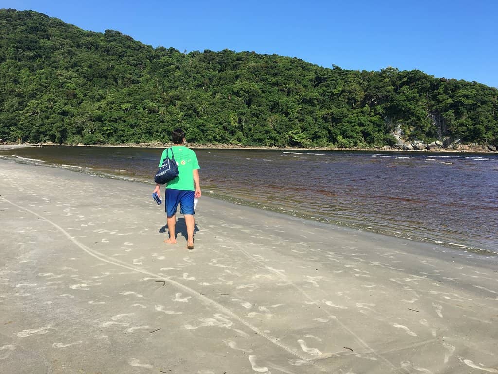 Tranquil Beach Vibe