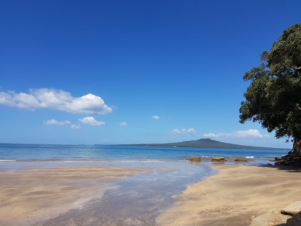 View towards Rangitoto