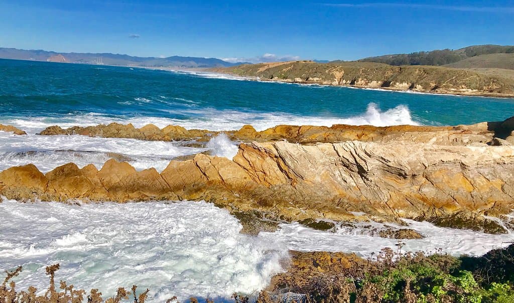 Andrew Molera Bluff Trail