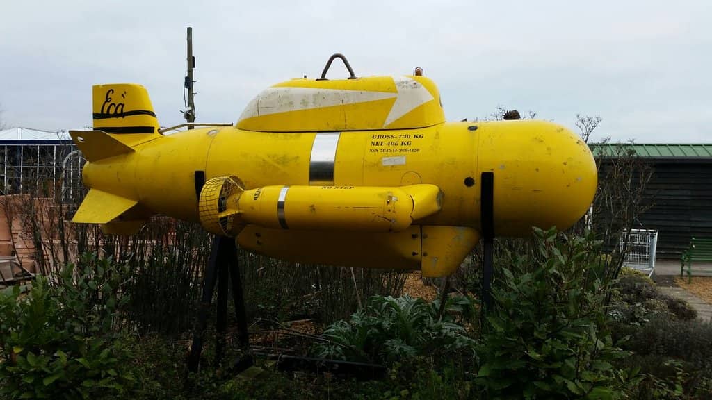 Extensive Plant & Garden Selection